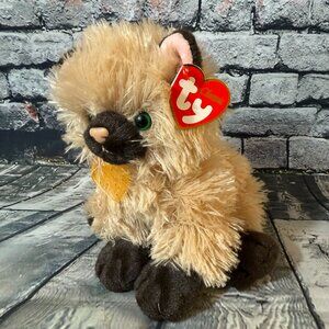 Vintage Ty Classic Beanie Babies 2005 "Cassidy" the Cat 8" Plush Toy - MWMT